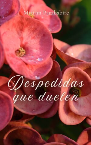 Despedidas que duelen
